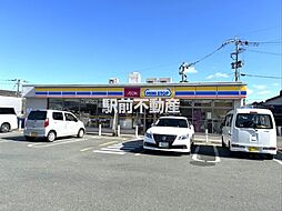 サザンリンクス 205