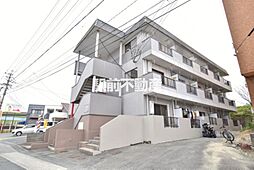 スカイグリーン 206