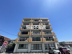 ラブラドール 301