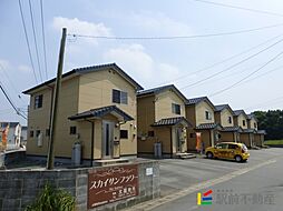 スカイサンフラワー 6
