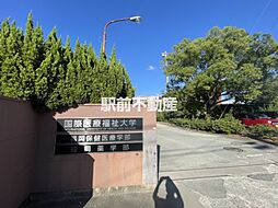 ウィステリア・1 302