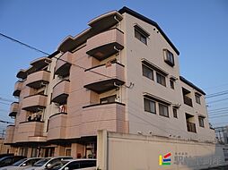 ハンリーラ円入 201