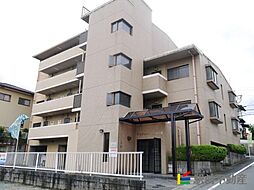 アルファーハイツ春日II 503