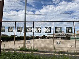 ホワイトグレース20 303