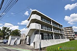 コルテライム 106