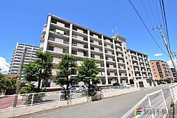 レスピーザ53 303