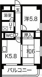 ピュアプレイス 101