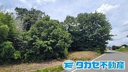 小野市中番町1255坪山林