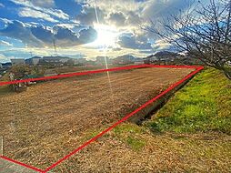 笠岡市西大島新田　売土地