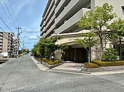 アルファステイツ青江