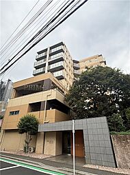 セルティスコート