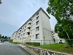 金剛第三住宅222棟 506