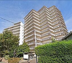 ブリティッシュ・ティンバー尾崎 1005