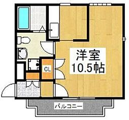 コージーコート 203