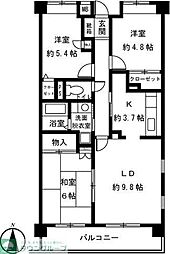 ペルシャモン上水 505