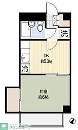 セダーバック 202