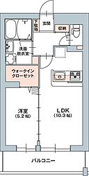 ノーム国立 305