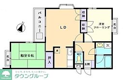 シャトレメイプル 305