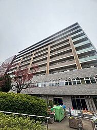 ステラテラス 805