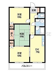 コーポラスエトニア 205