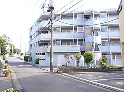 セザール青葉台 ３０４