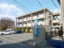 Dearcort kawanami 303