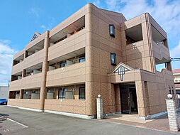 Fortia Y&Y 202 号室