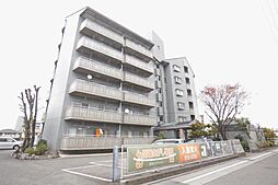 ナチュラルリーフ松山 303 号室