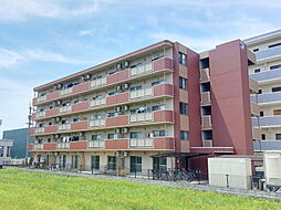 ルミナス　ローズ 205 号室