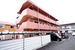 ジュネス西石井 303 号室