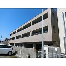 フィネス衣山 203 号室