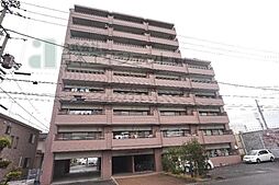 エヌウェル三愛 503 号室