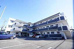 ロイヤルアネックスはなみずき 203 号室