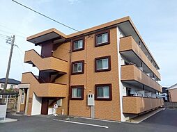 セントジョセフA 306