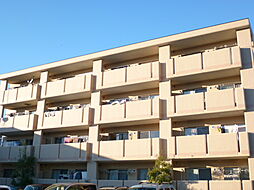 ハミングバード 303