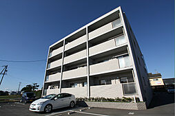 エバーグリーン 402