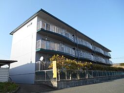 ドミ美 103