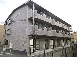 パルティール 205