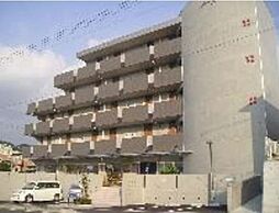 Sun　Curcuma（サンシャローム） 302