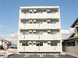 レモンバーム 103