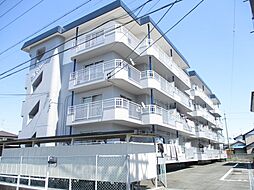 Sent　Francis（セントフランシス） 201