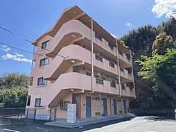 ロマネコンティ 203