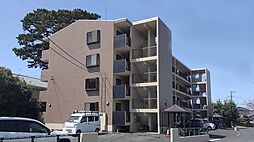 パインクレスト1 406