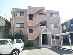 チームス大平台 303