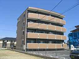 アンジェリーク 202