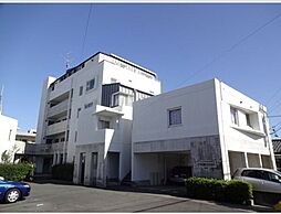 エヴァグリーン 502