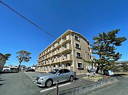 ウィステリアコート 205