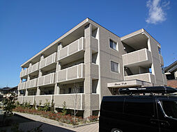 ブエナビスタ 305