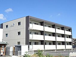 Apricot（アプリコット）