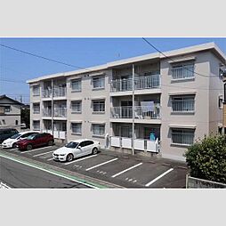 フェニックス 303